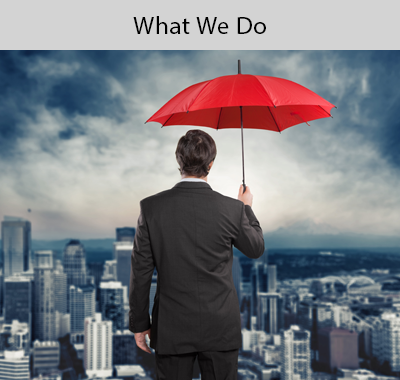 What We Do